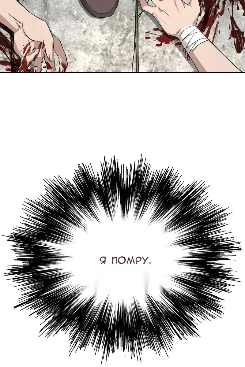 Сторінка 12