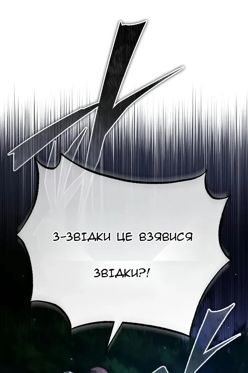Сторінка 29
