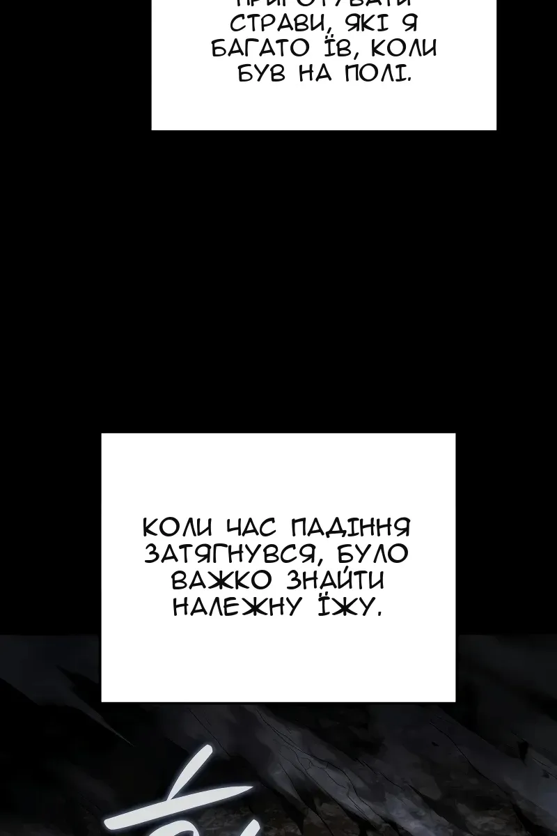 Сторінка 17