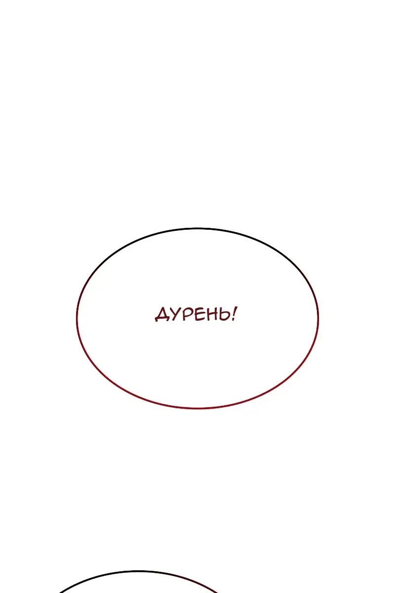 Сторінка 11