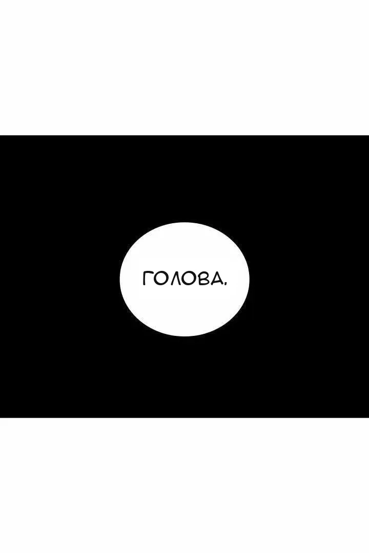 Сторінка 31