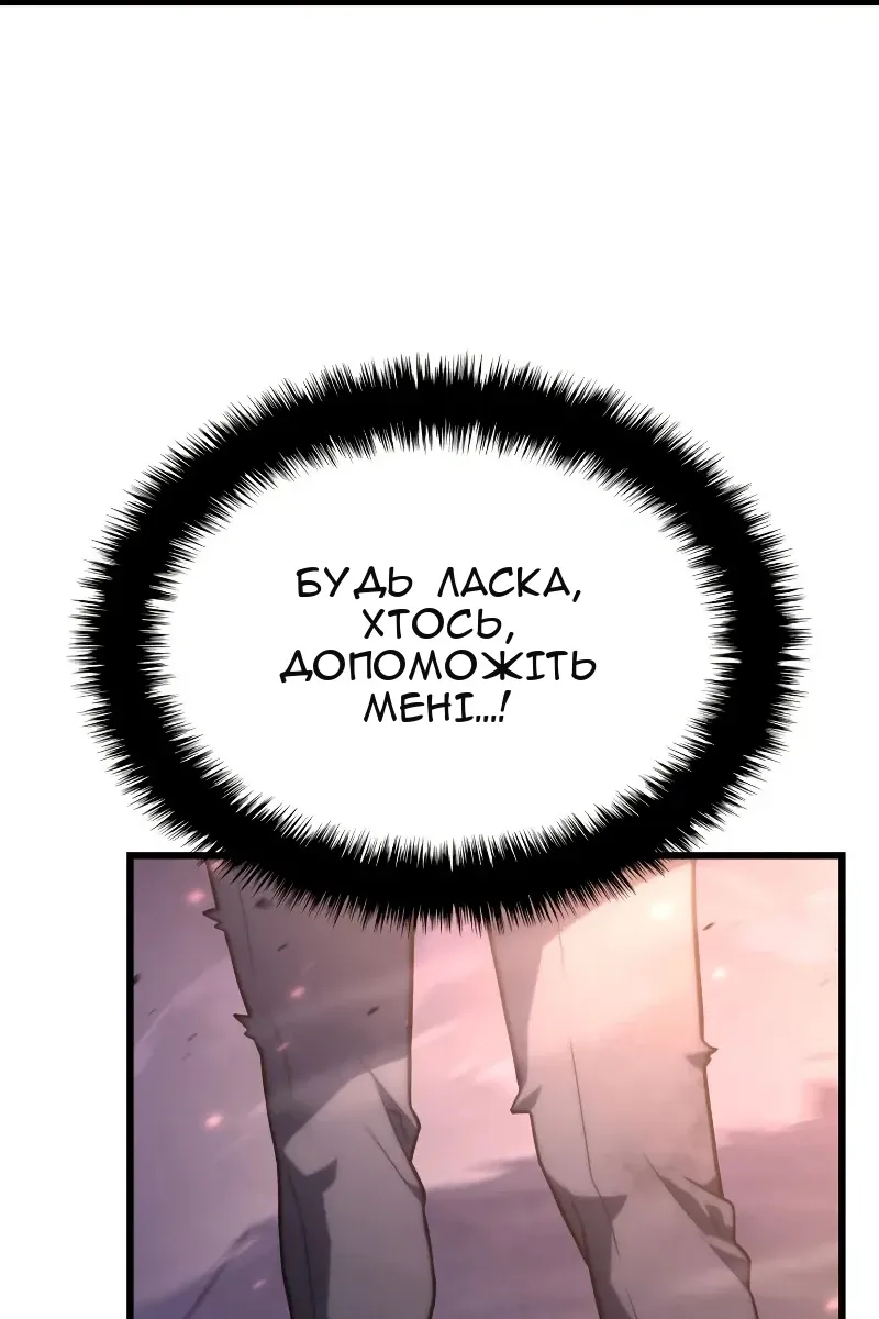 Сторінка 17