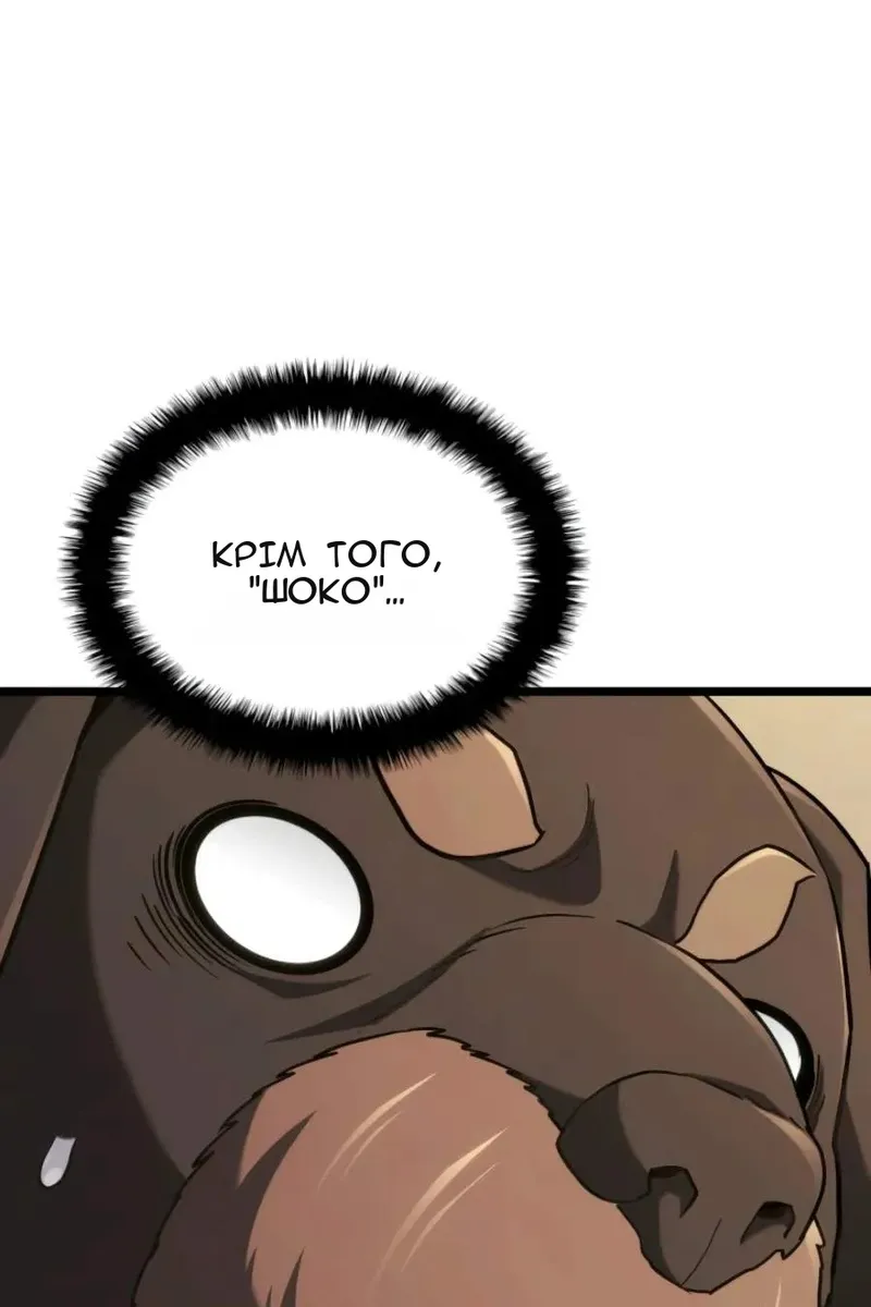 Сторінка 6