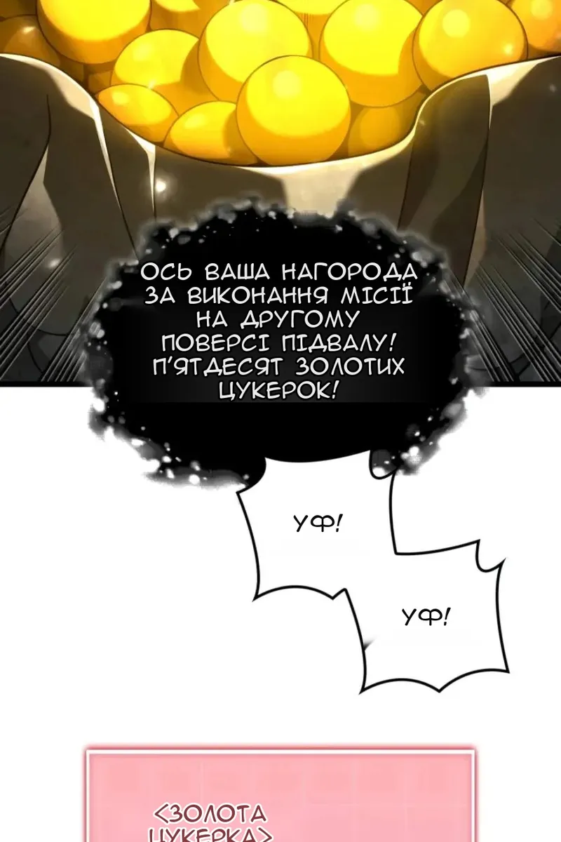 Сторінка 17