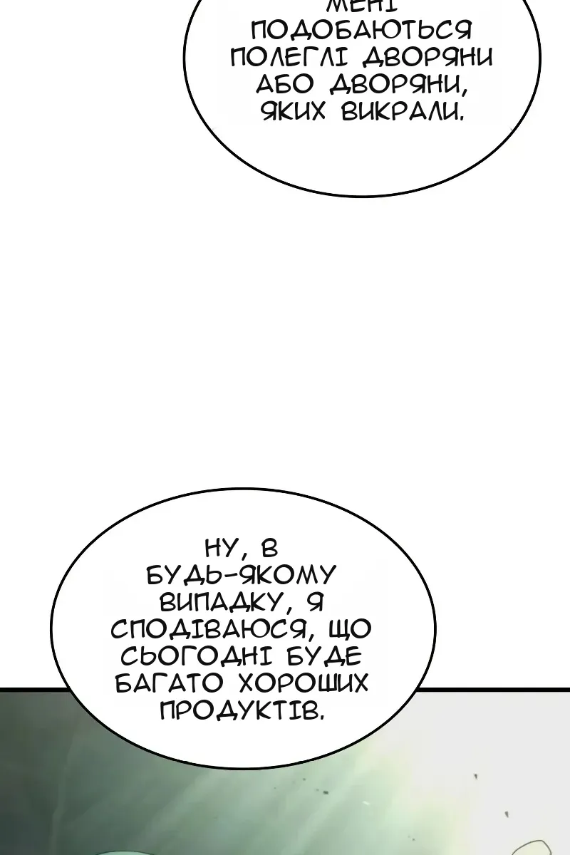 Сторінка 29
