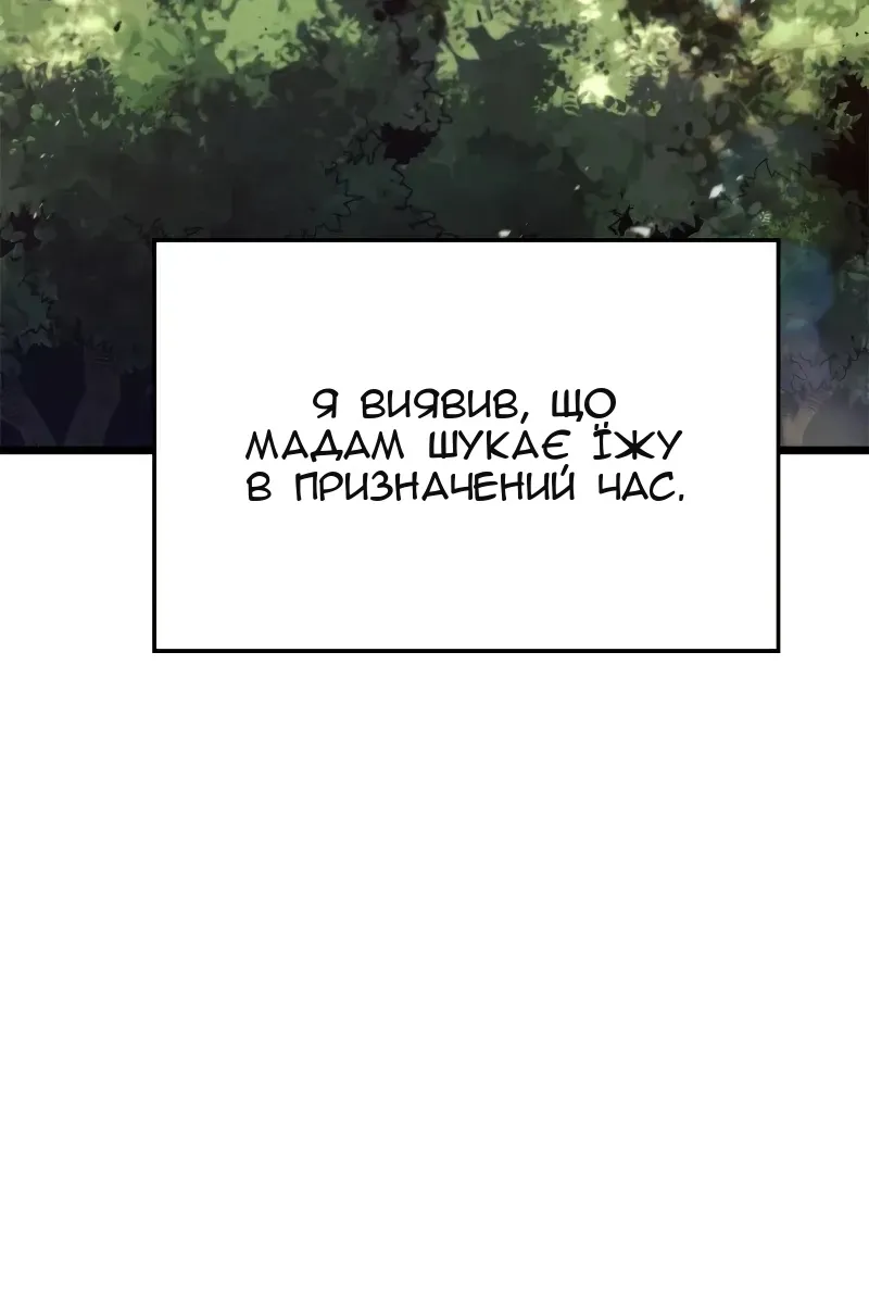 Сторінка 17