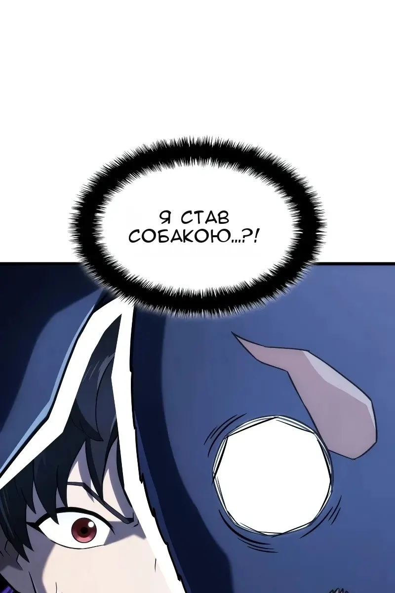 Сторінка 71