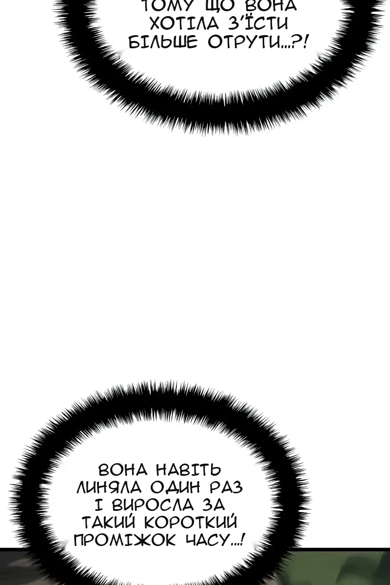 Сторінка 5
