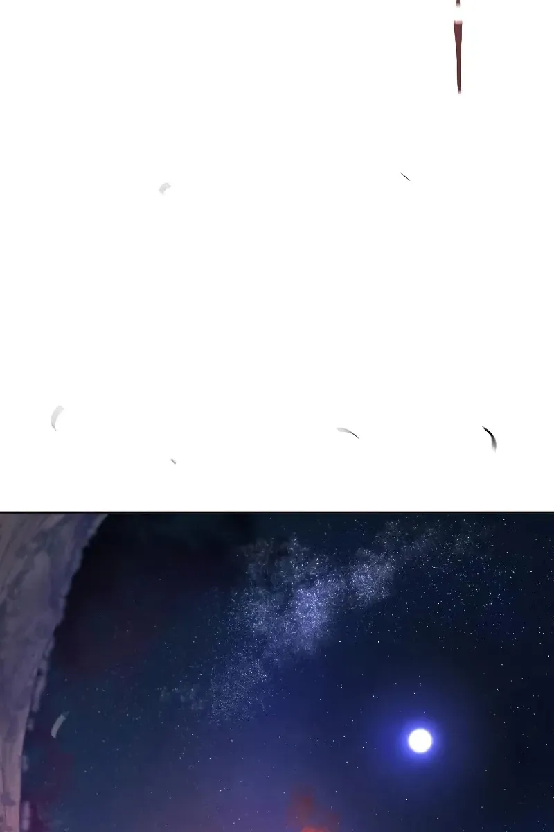 Сторінка 4