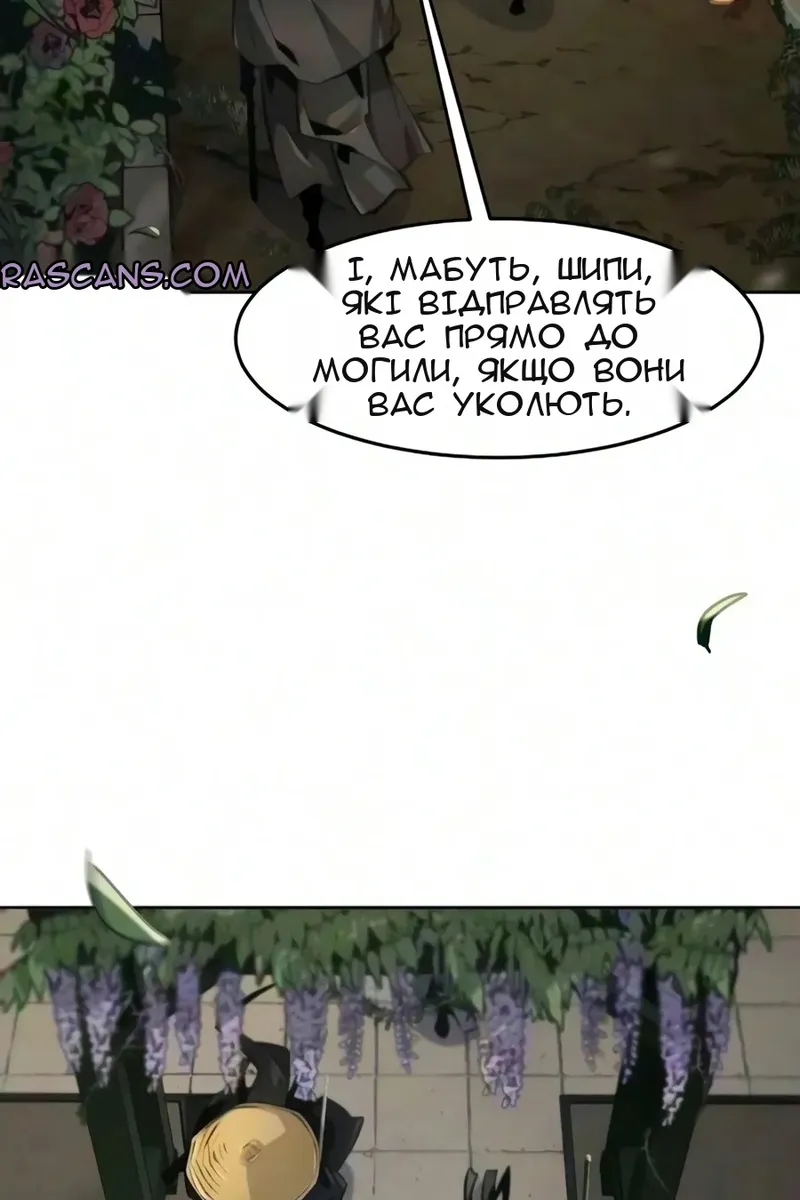Сторінка 41