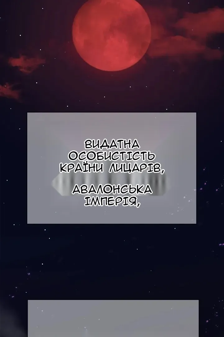 Сторінка 101