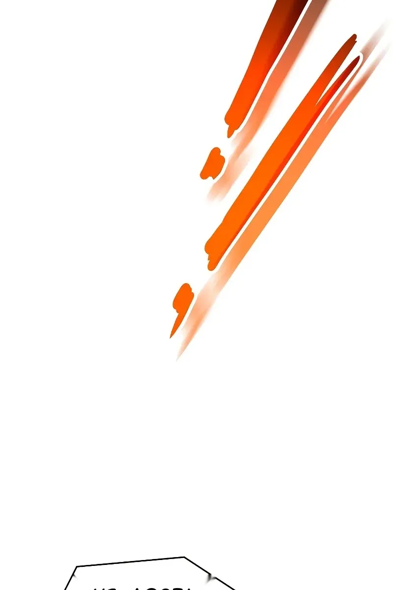 Сторінка 17