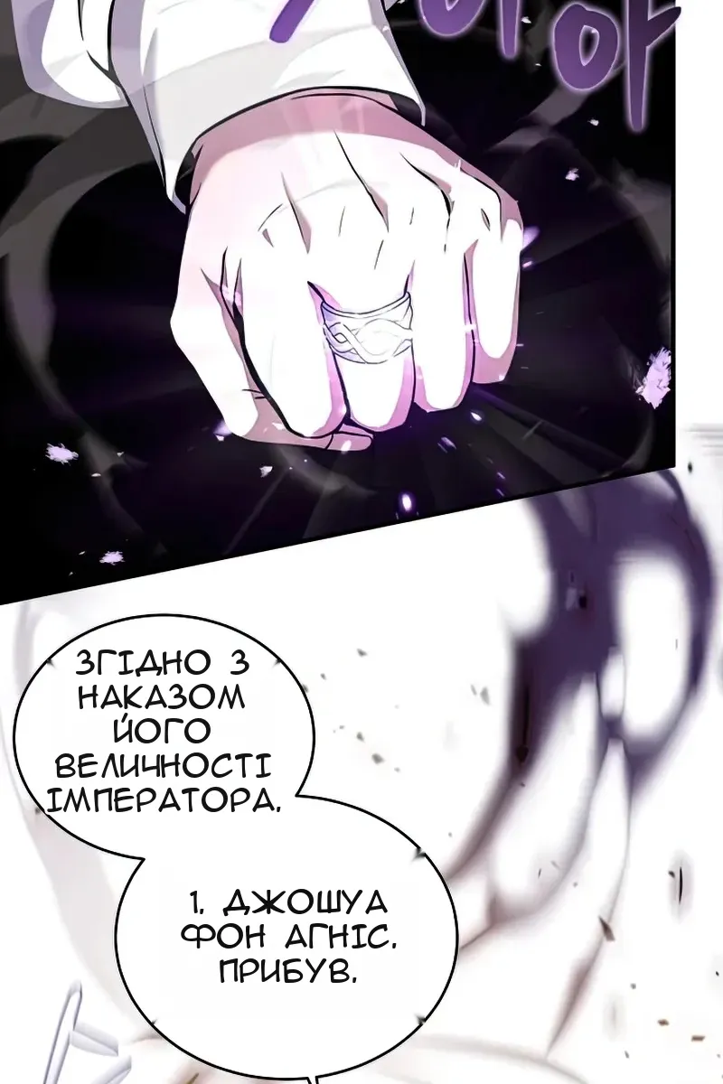 Сторінка 17