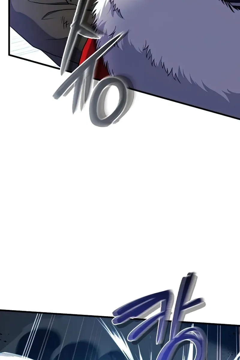 Сторінка 11