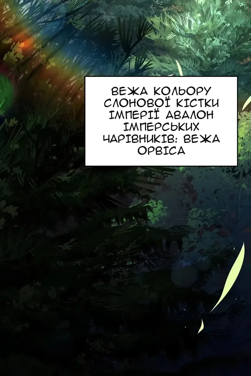 Сторінка 29
