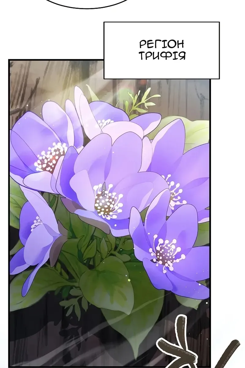 Сторінка 116