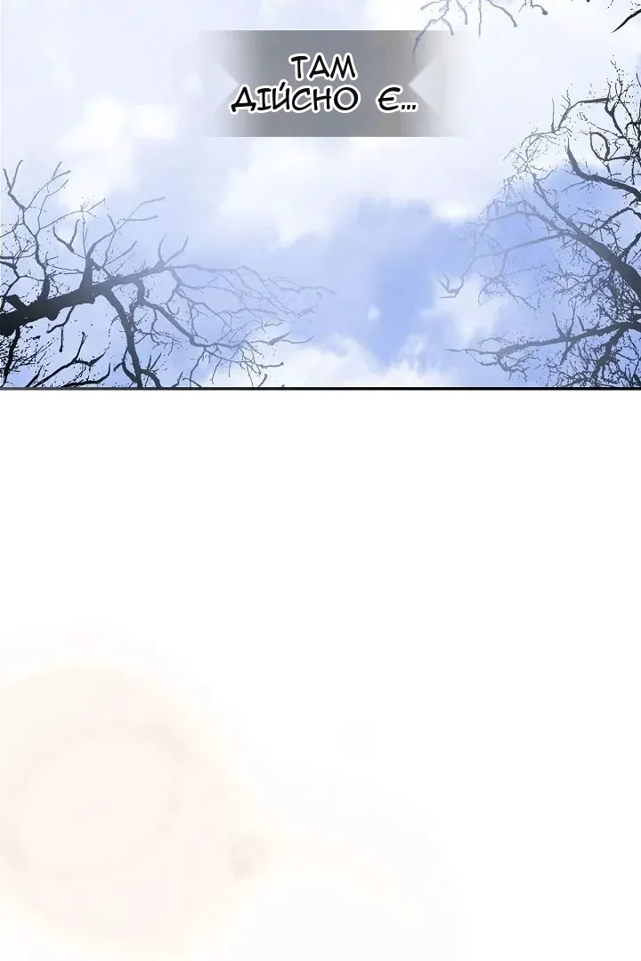 Сторінка 17