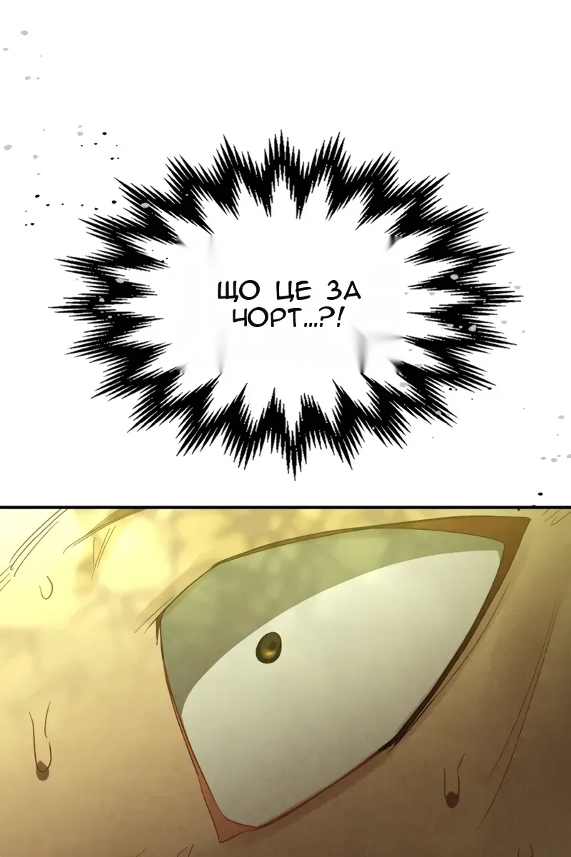 Сторінка 74