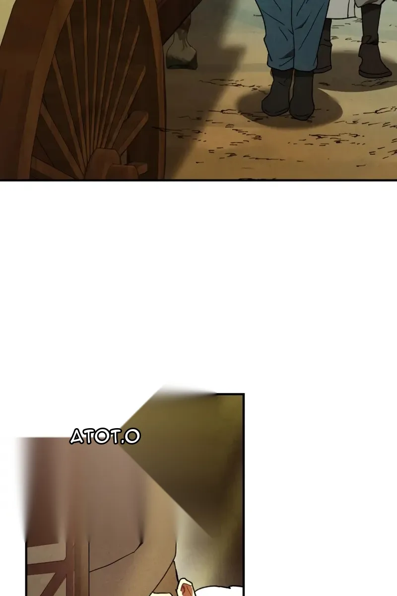 Сторінка 13
