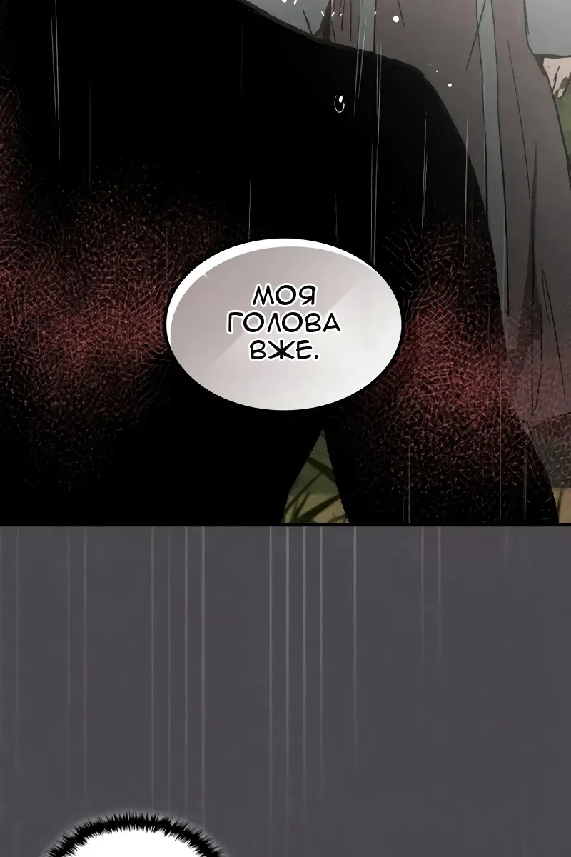 Сторінка 31