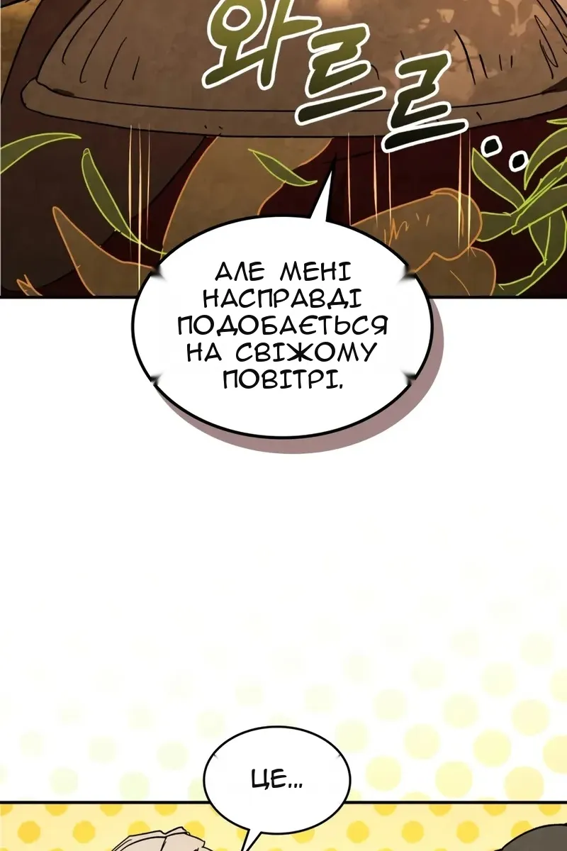 Сторінка 19