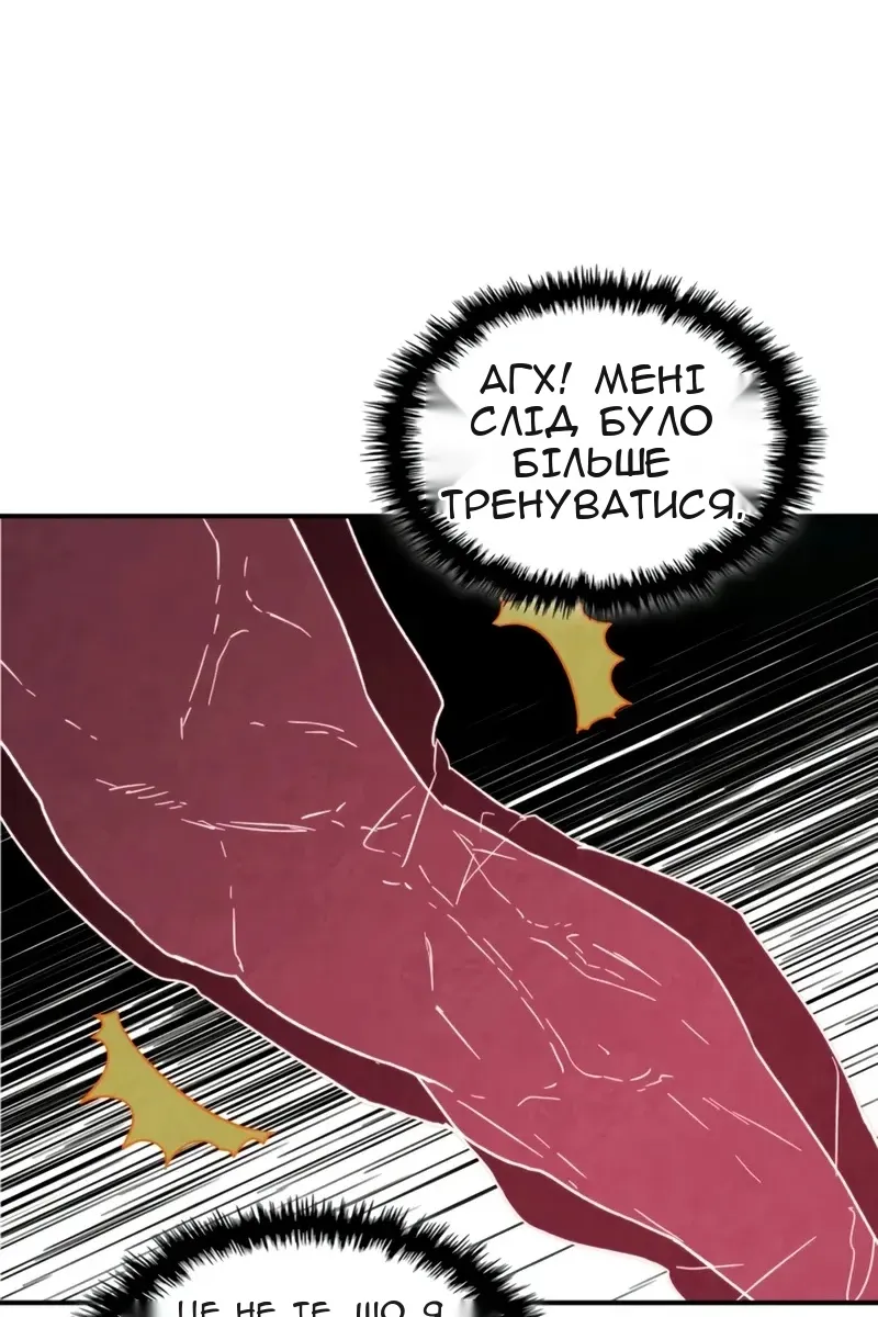 Сторінка 71