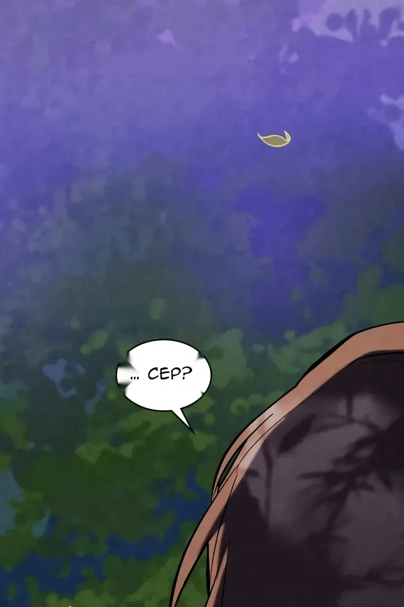 Сторінка 6