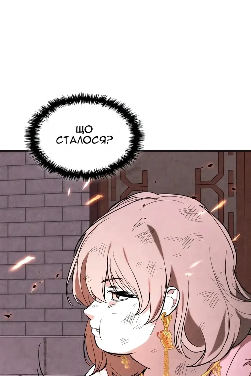 Сторінка 17
