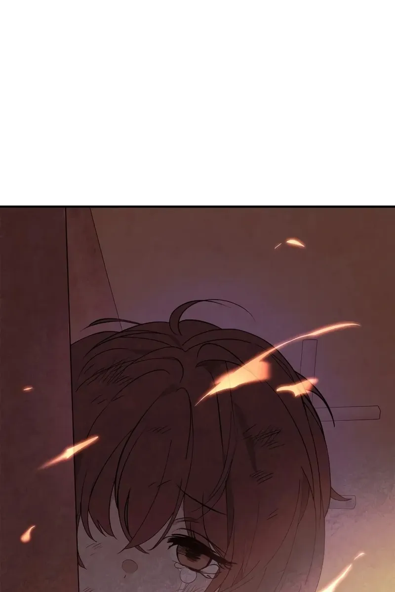 Сторінка 101