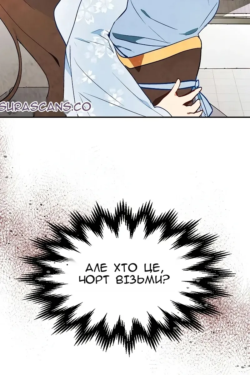 Сторінка 111