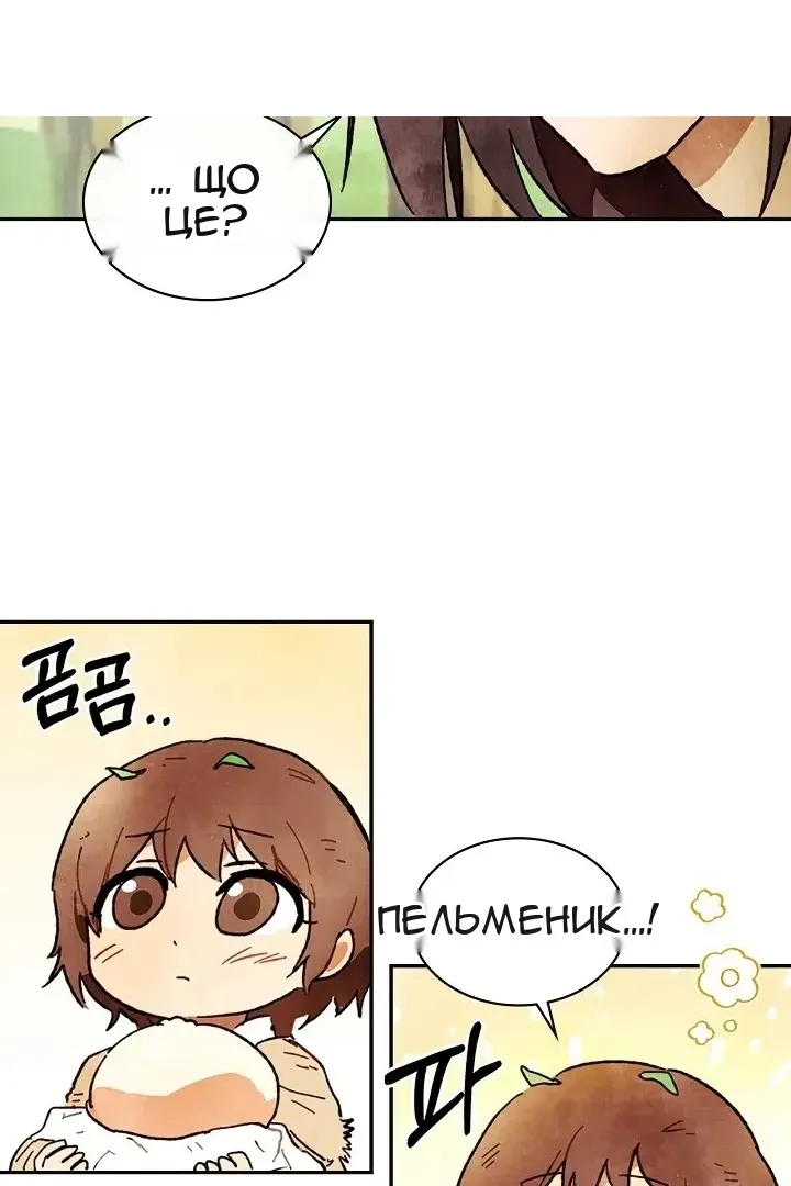 Сторінка 25