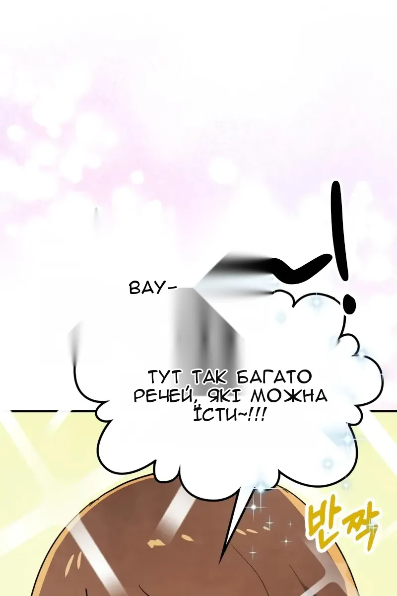 Сторінка 67