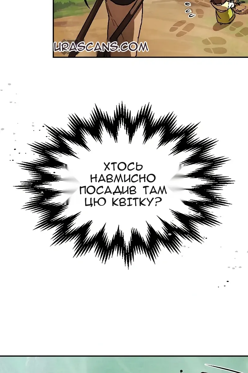 Сторінка 29