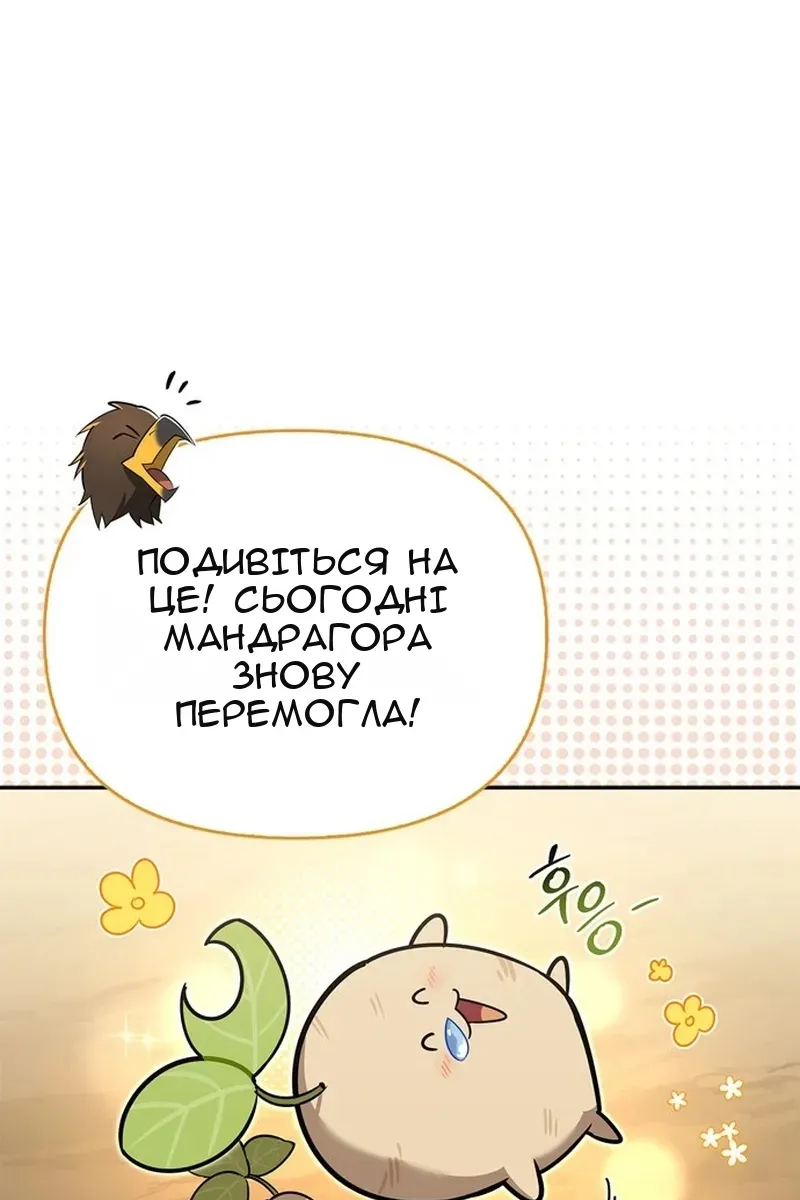 Сторінка 34