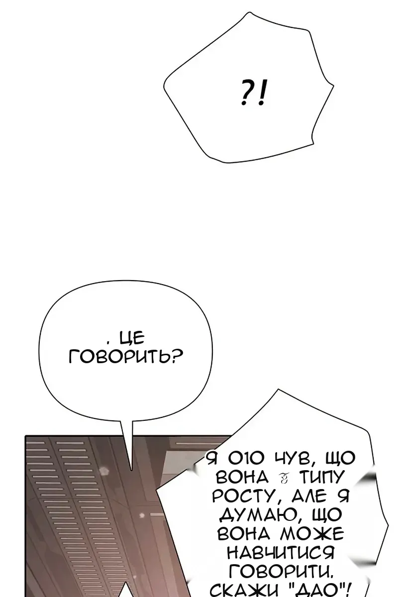 Сторінка 29