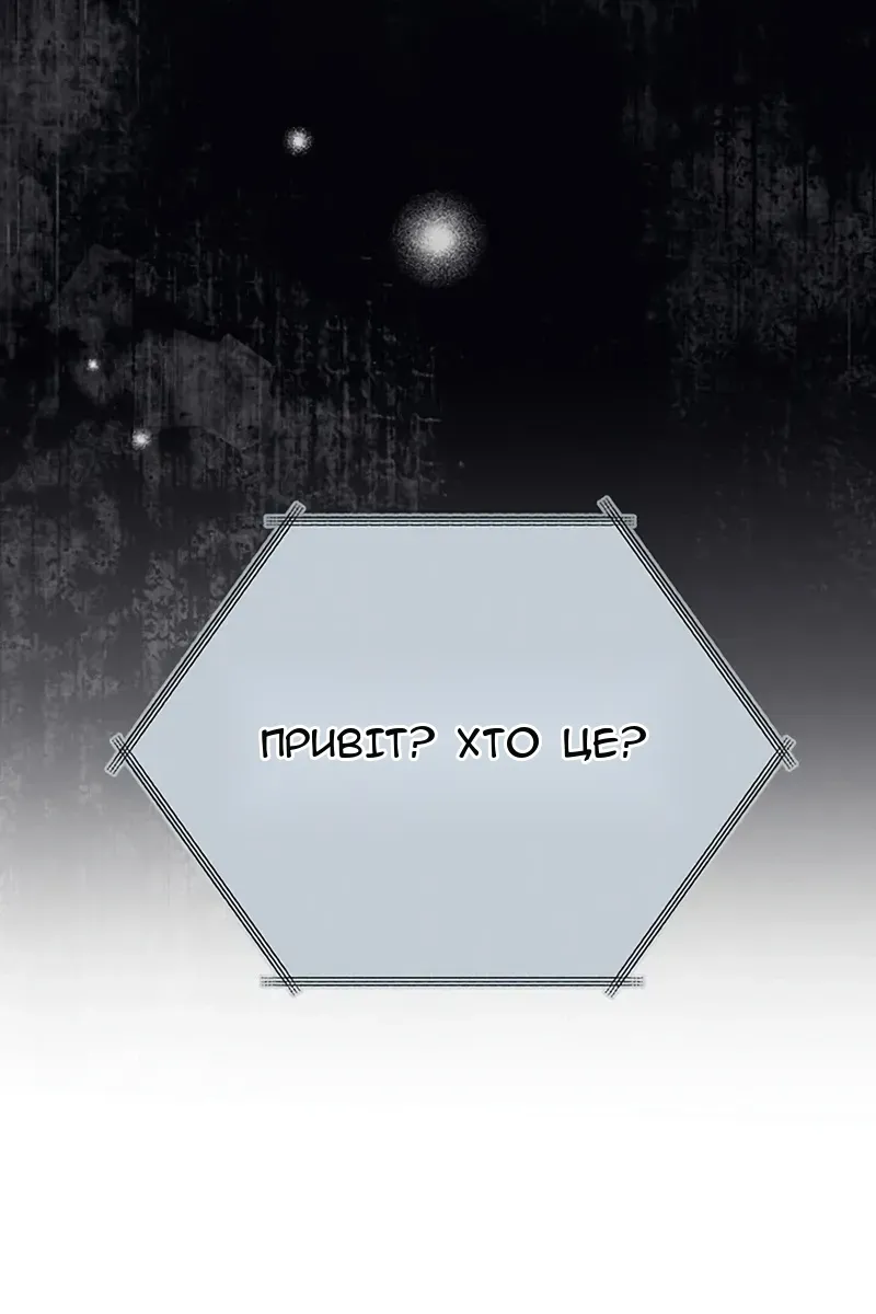 Сторінка 117