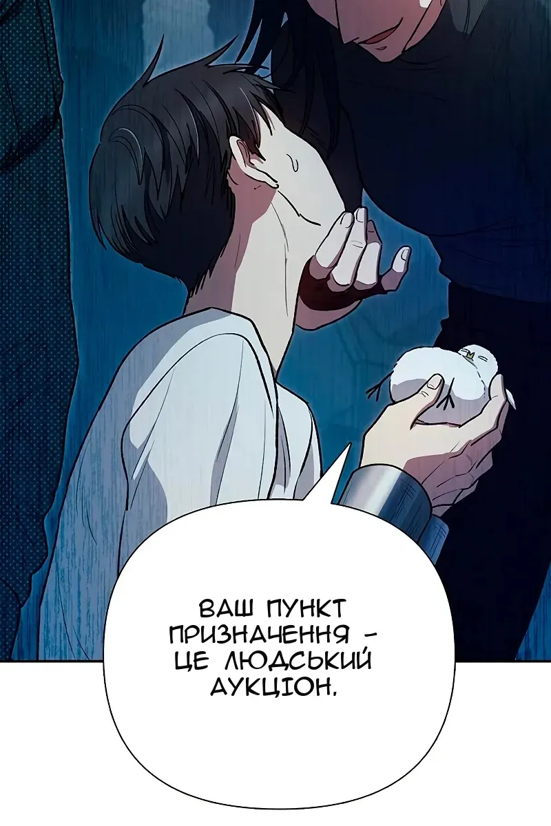 Сторінка 47