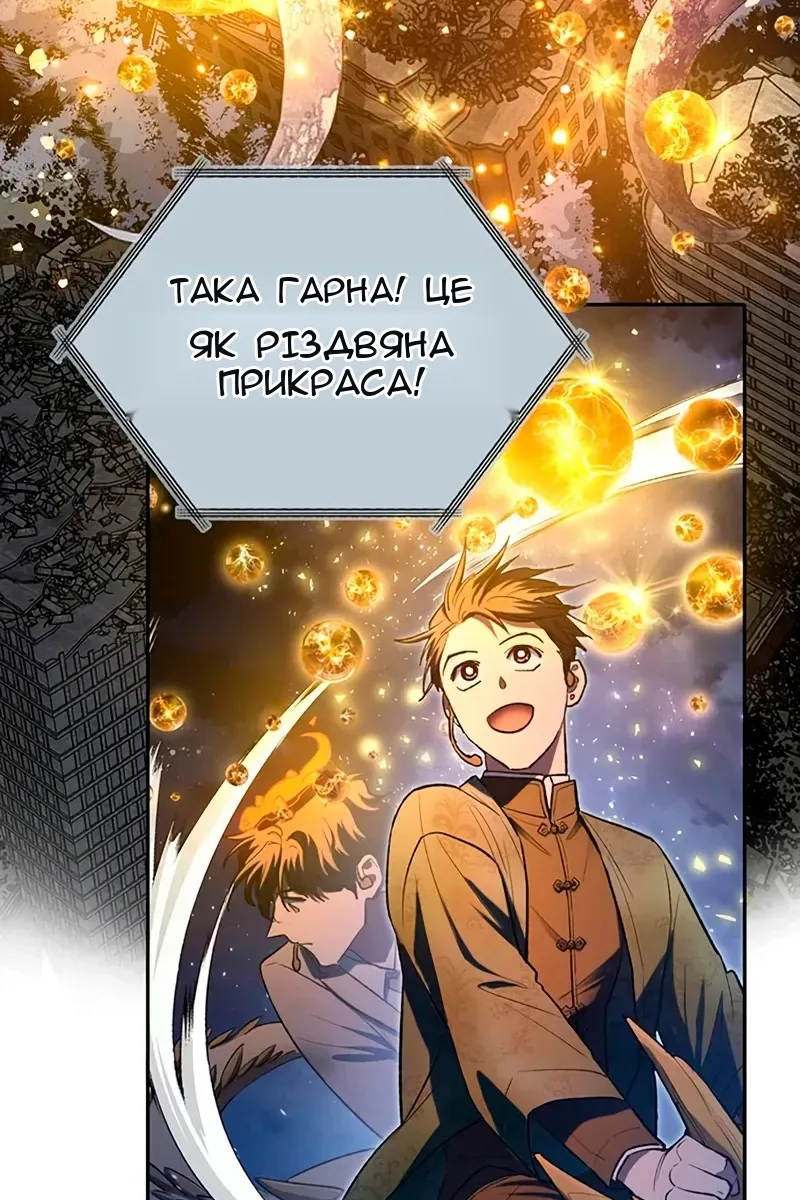 Сторінка 17