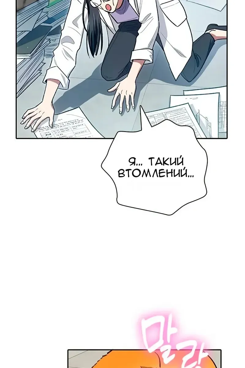 Сторінка 43