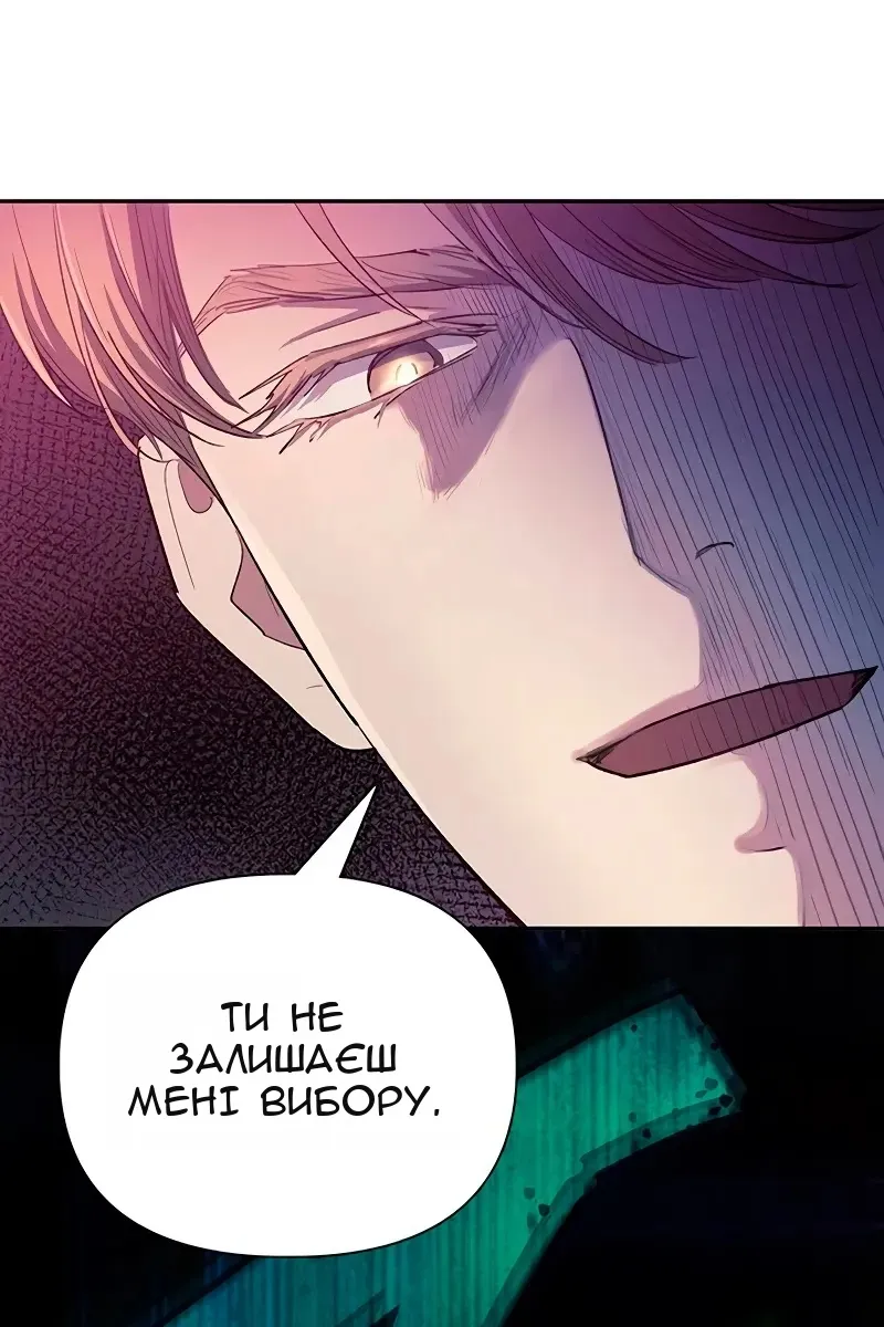 Сторінка 17