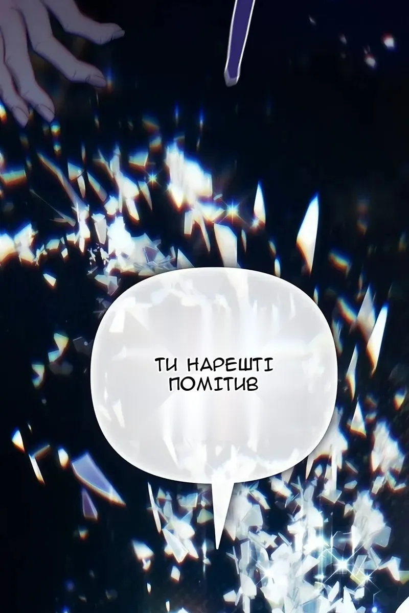Сторінка 11