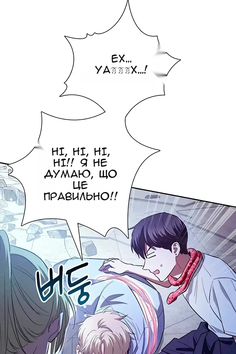 Сторінка 113