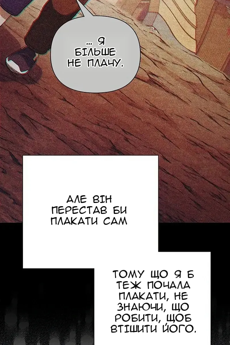 Сторінка 41