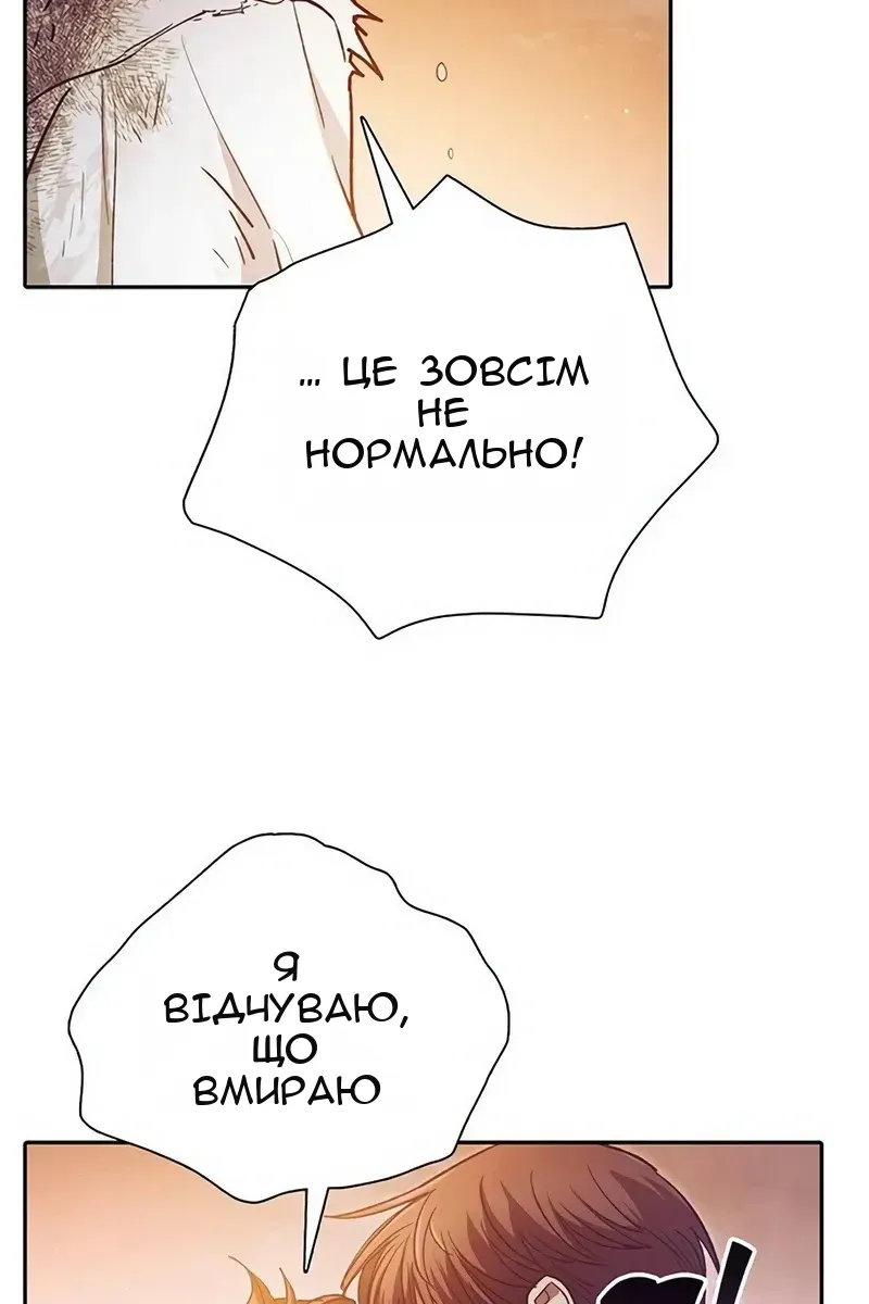Сторінка 47