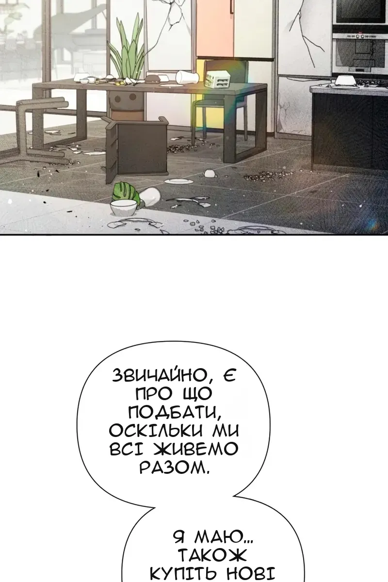 Сторінка 17