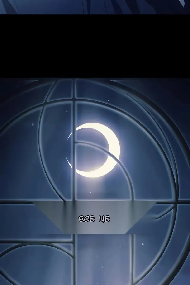 Сторінка 6