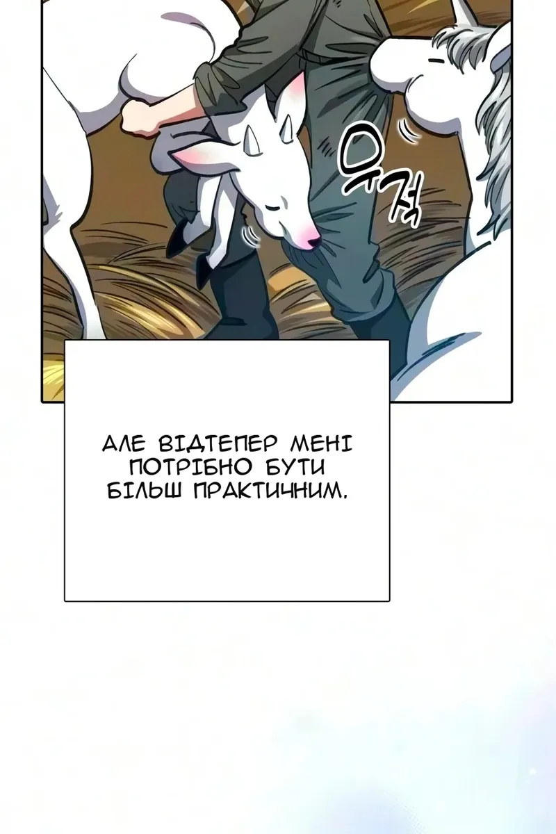 Сторінка 17
