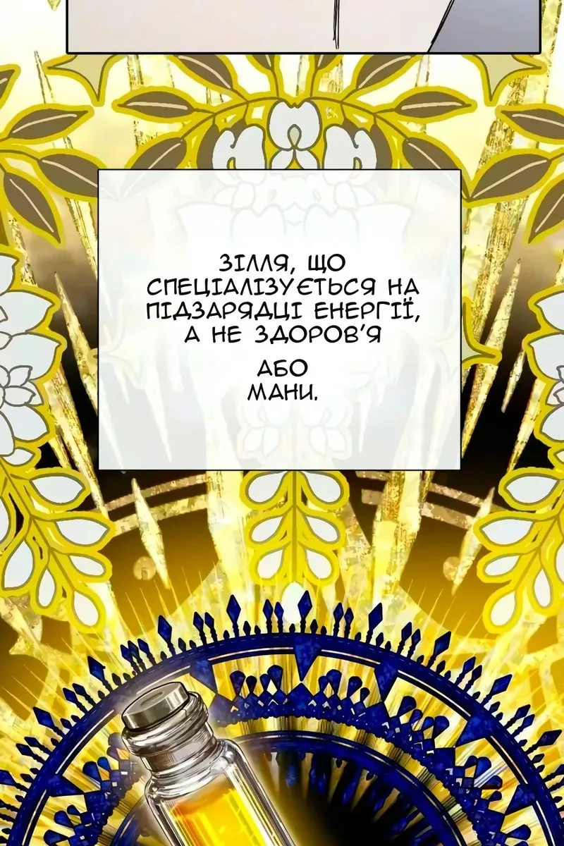 Сторінка 31
