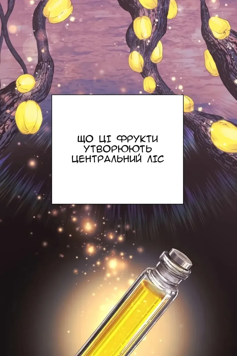 Сторінка 11
