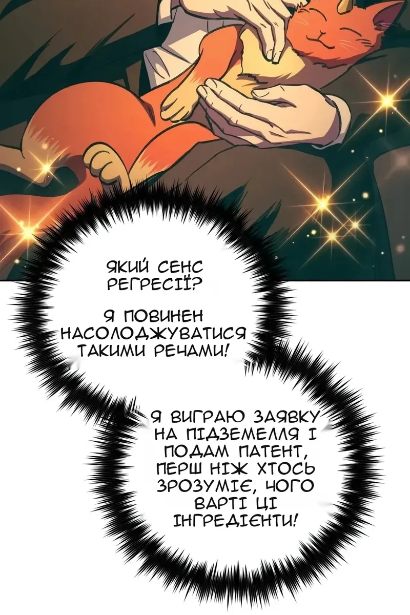 Сторінка 17